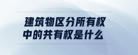 建筑物區(qū)分所有權(quán)中的共有權(quán)是什么