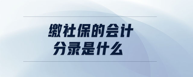 繳社保的會計分錄是什么