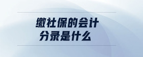 繳社保的會計分錄是什么