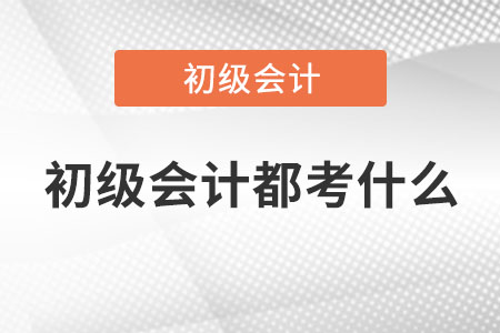 初級會計都考什么