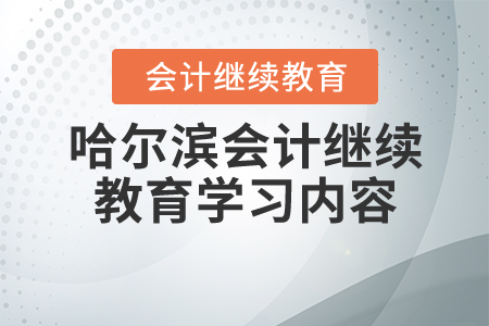 2020年哈爾濱會計(jì)繼續(xù)教育學(xué)習(xí)內(nèi)容