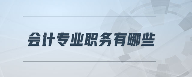 會計專業(yè)職務(wù)有哪些