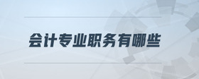 會(huì)計(jì)專(zhuān)業(yè)職務(wù)有哪些