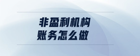 非盈利機構(gòu)賬務(wù)怎么做