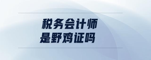 稅務會計師是野雞證嗎