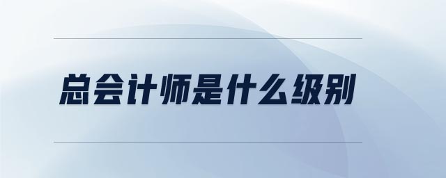總會計師是什么級別