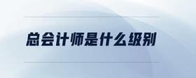 總會計師是什么級別