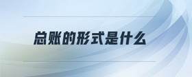 總賬的形式是什么