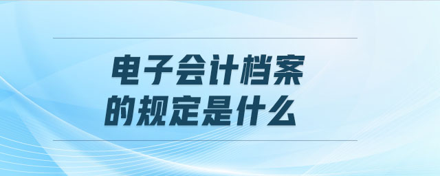 電子會計檔案的規(guī)定是什么