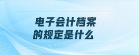 電子會(huì)計(jì)檔案的規(guī)定是什么