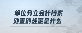 單位分立會(huì)計(jì)檔案處置的規(guī)定是什么