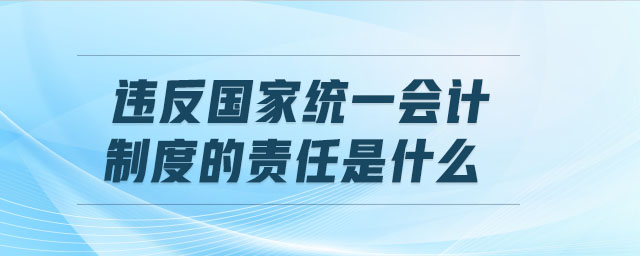 違反國(guó)家統(tǒng)一會(huì)計(jì)制度的責(zé)任是什么