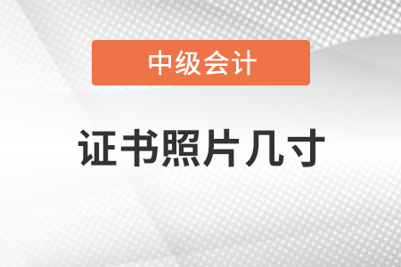 中級會計(jì)師證書照片幾寸
