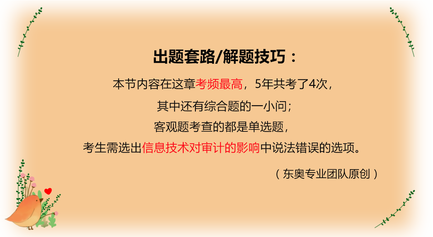 信息技術(shù)對審計(jì)過程的影響