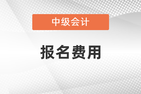 2021年寧夏初級(jí)會(huì)計(jì)考試報(bào)名費(fèi)是多少