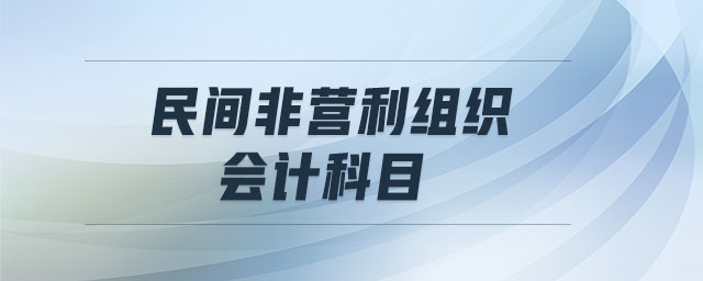民間非營利組織會計(jì)科目