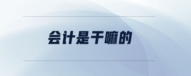 會(huì)計(jì)是干嘛的