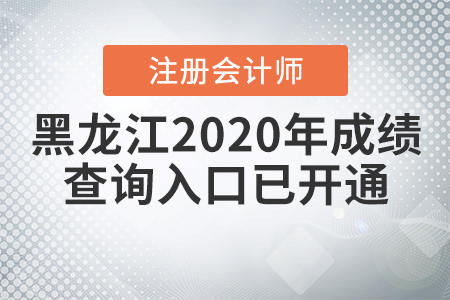 黑龍江2020年注冊會計(jì)師成績查詢?nèi)肟谝验_通