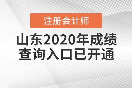 山東2020年注冊會(huì)計(jì)師成績查詢?nèi)肟谝验_通