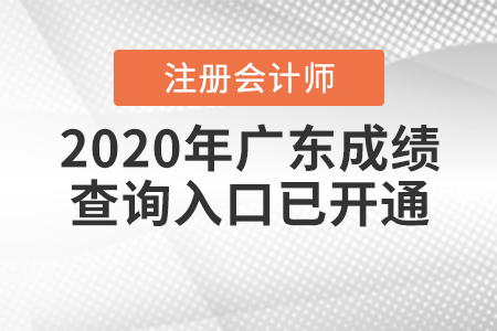 廣東2020年注冊(cè)會(huì)計(jì)師成績(jī)查詢?nèi)肟谝验_通