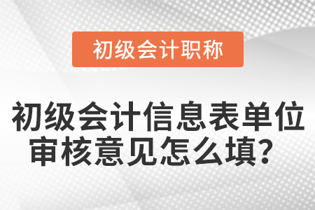 初級會計信息表單位審核意見怎么填？