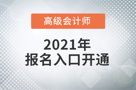 高級(jí)會(huì)計(jì)師報(bào)名入口2022年在哪里？