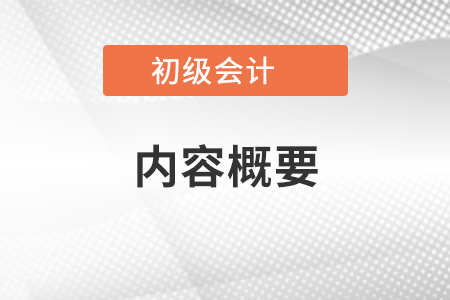 初級會計(jì)內(nèi)容概要