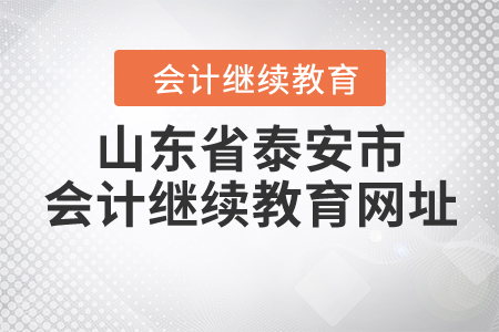 山東省泰安市會(huì)計(jì)繼續(xù)教育網(wǎng)址