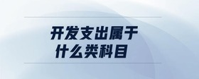 開(kāi)發(fā)支出屬于什么類科目