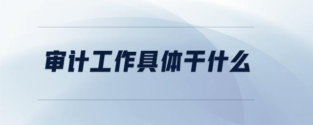 審計工作具體干什么 審計工作具體干什么