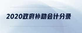 2020政府補(bǔ)助會(huì)計(jì)分錄