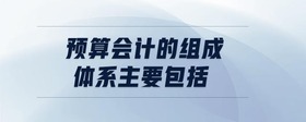 預(yù)算會(huì)計(jì)的組成體系主要包括