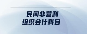 民間非營(yíng)利組織會(huì)計(jì)科目