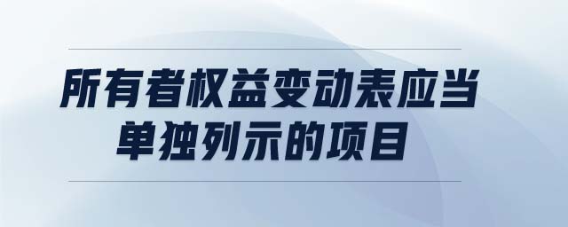 所有者權(quán)益變動表應(yīng)當(dāng)單獨(dú)列示的項目有哪些