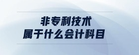 非專利技術(shù)屬于什么會(huì)計(jì)科目