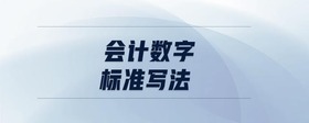 會(huì)計(jì)數(shù)字標(biāo)準(zhǔn)寫法
