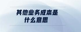 其他業(yè)務成本是什么意思