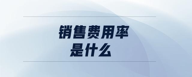 銷售費(fèi)用率是什么