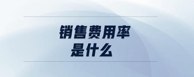 銷售費(fèi)用率是什么