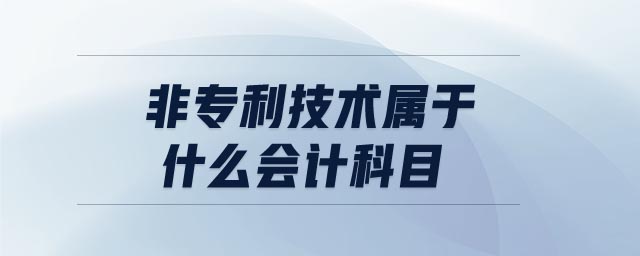 非專利技術(shù)屬于什么會(huì)計(jì)科目