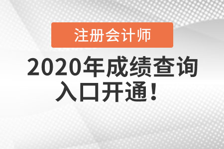 2020年注冊(cè)會(huì)計(jì)師成績(jī)查詢?nèi)肟陂_(kāi)通！