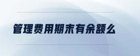 管理費(fèi)用期末有余額么