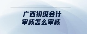 廣西初級(jí)會(huì)計(jì)審核怎么審核