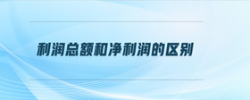 利潤(rùn)總額和凈利潤(rùn)的區(qū)別