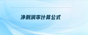 凈利潤率計(jì)算公式