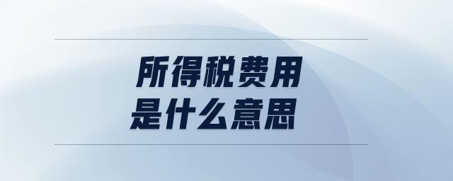 所得稅費(fèi)用是什么意思