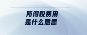 所得稅費(fèi)用是什么意思