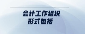 會計工作組織形式包括