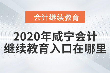 2020年咸寧會(huì)計(jì)繼續(xù)教育入口在哪里？