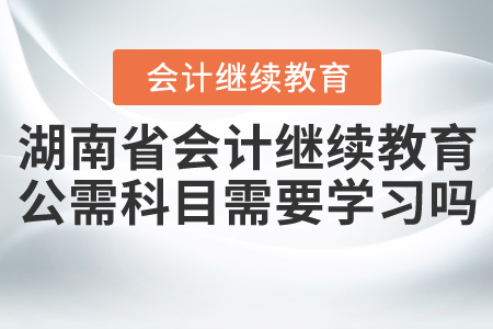 2020年湖南省會計繼續(xù)教育公需科目需要學習嗎